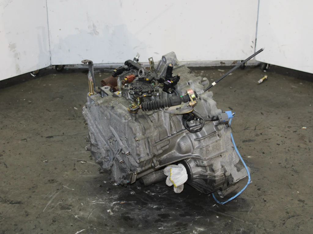 IMG_6888_b8e24a92-ecd8-4f12-a922-d338a72cc050_1024x1024